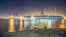 Container Terminal Tollerort III von photoart-hartmann