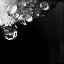 Rain-Soul by Martina Marten