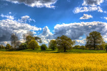 The Springtime Farm von David Pyatt