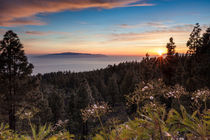 Three Island View, Tenerife by Moritz Wicklein