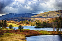 Tarn Hows von Vicki Field