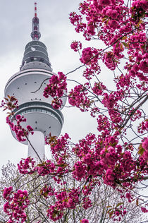 Hamburg im Frühling VIII von elbvue by elbvue