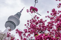 Hamburg im Frühling IX von elbvue von elbvue