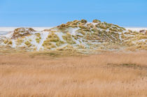 Sankt Peter Ording I Düne von elbvue von elbvue