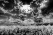 The Storm Over The Farm von David Pyatt