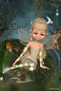 Star Fairy von Toni Jonckheere