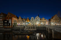 stint@night by Manfred Hartmann