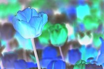 tulips negative... 18 by loewenherz-artwork