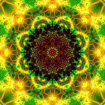 Yellow Octahealer von LIGHTMANDALA MANDALAMATRIX