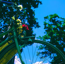 Fahrrad Nostalgie von li-lu