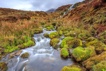 Scottish nature von Christine Büchler