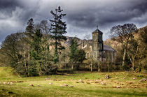 Sanctuary in the Storm von Vicki Field