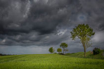 regen im mai von Manfred Hartmann