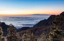 Mirador La Crucita, Teneriffa von Moritz Wicklein