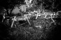 Derelict Crosses by David Hare