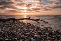 Treibholz an der Küste der Ostsee von Rico Ködder