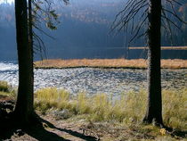 Arbersee... von Thea Ulrich