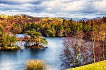 Tarn Hows II by Vicki Field