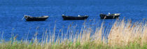 Rügen 0099 von Mario Fichtner