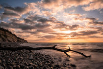 Treibholz an der Küste der Ostsee von Rico Ködder