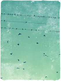 Birds on the wire von Stephanie Gille