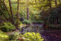 Teich im Park by Frank  Jeßen