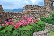 Ruine Hocheppan, Südtirol von loewenherz-artwork