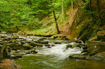 A river runs between von Thomas Matzl