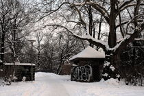 Winterliche Impressionen aus dem Palmengarten 8 von langefoto