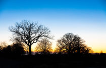 Sunset at RHS Gardens, Wisley von Graham Prentice