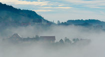 wineyards in morning mist by Thomas Matzl