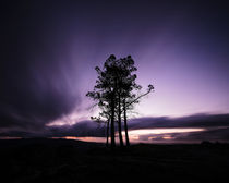 Sentinels von Antonio Jorge Nunes