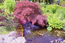 Japanese Garden waterfall by lanjee chee