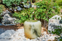 Japanese garden 6 von lanjee chee