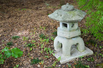 Japanese Lantern von lanjee chee