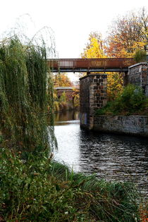 Herbst 9 von langefoto