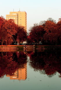 Herbst 5 von langefoto