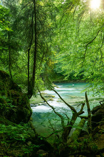 Where forest spirits celebrate midsummer von Thomas Matzl