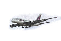 Qatar Airlines Airbus And Seagull Escort Art von David Pyatt