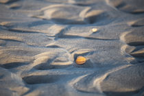 Sandstructures by nordfriesland-und-meer-fotografie