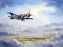 P-40 Warhawk Aircraft by bill holkham