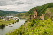 Burg Metternich bei Beilstein/Mosel 5 by Erhard Hess