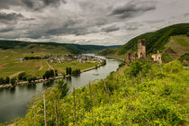 Burg Metternich bei Beilstein/Mosel 7 von Erhard Hess