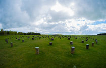 woodhenge by lilithdavinci