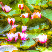 Water Lily Art by David Pyatt