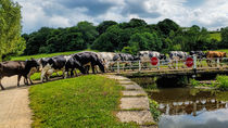 On the way to the parlour by Colin Metcalf