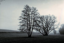 Herbstlandschaft von Bernd Fülle