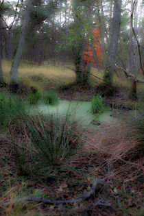 Wald 2 von Bernd Fülle