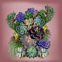 My Succulent garden von Nadine May