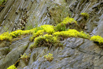 Felsen 2 von Bernd Fülle